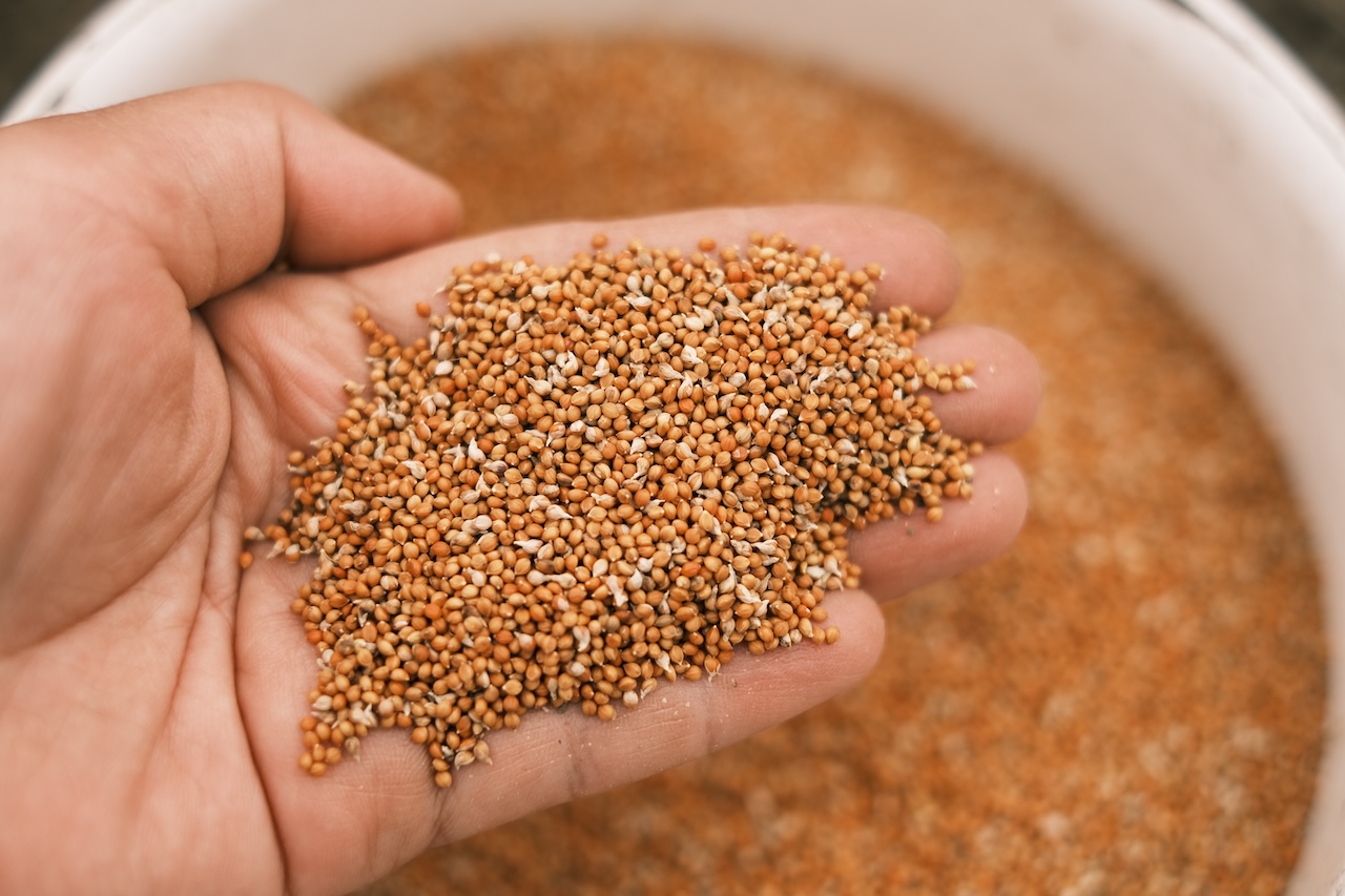 雑穀米とは？白米・玄米との違いや栄養・メリットをわかりやすく解説