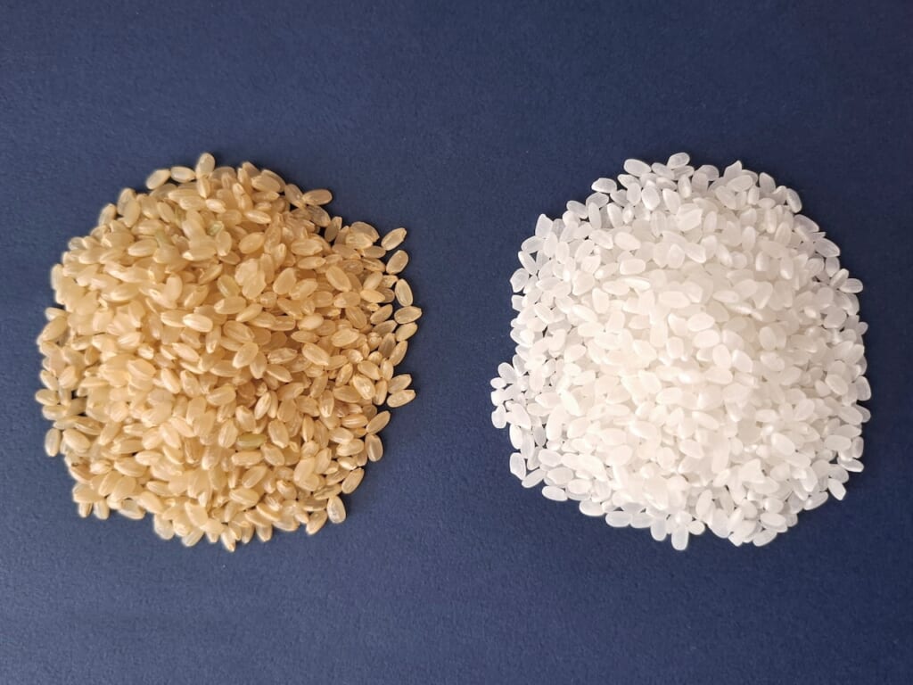 雑穀米と白米・玄米・発芽玄米の違い