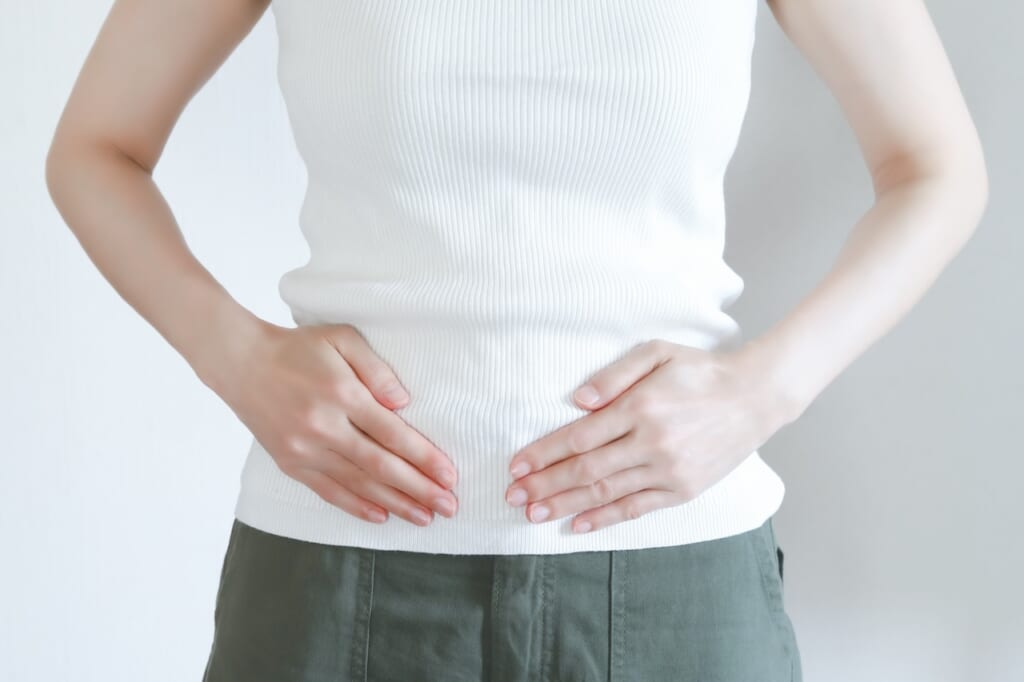 豊富な食物繊維と腸内環境の改善