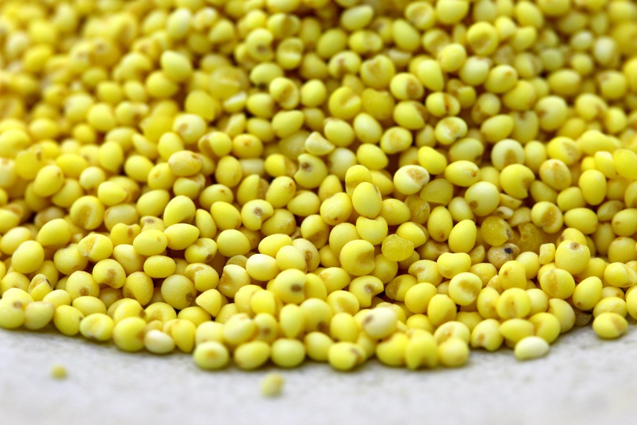 きびとは？栄養や効果を解説