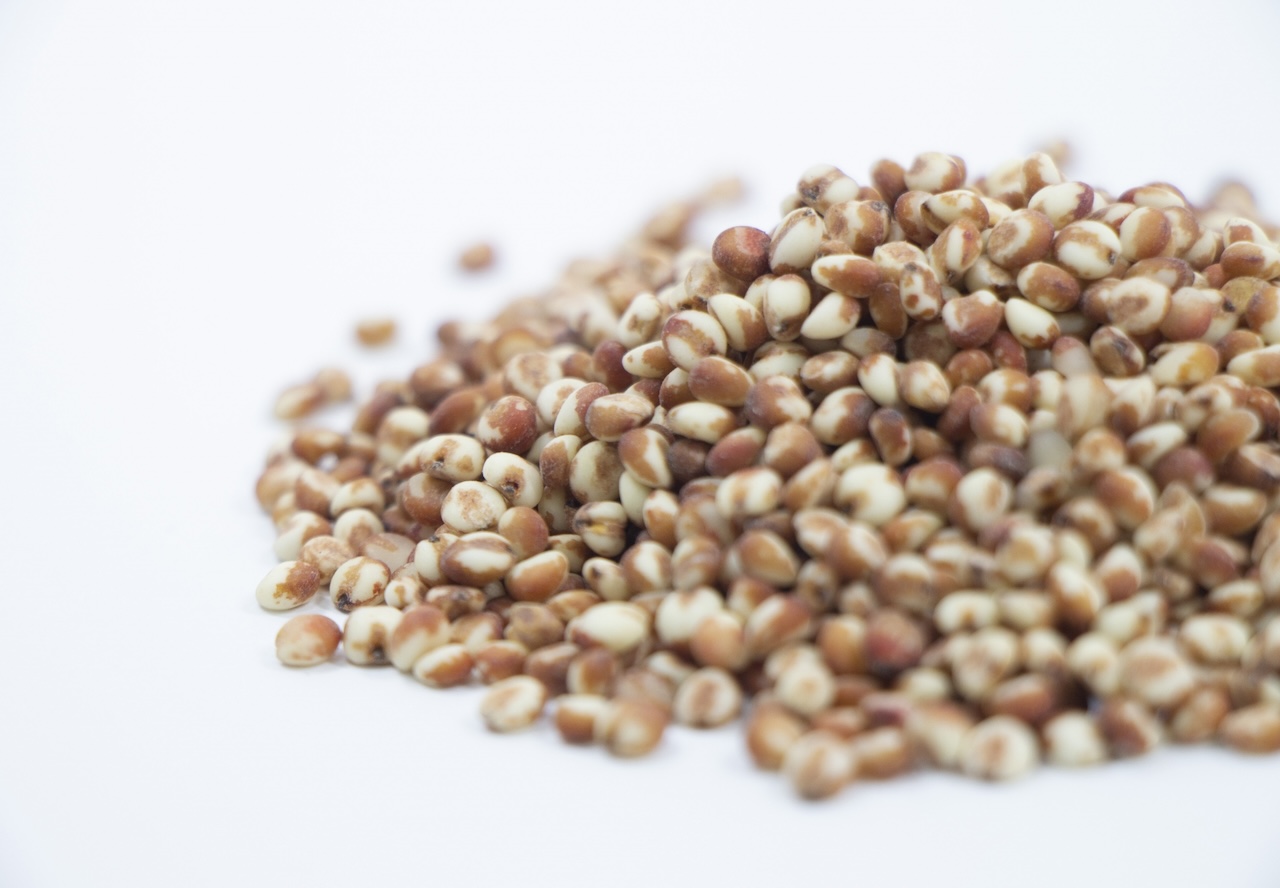 ソルガム（たかきび）とは？栄養や効果を解説